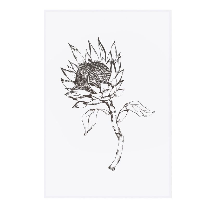 Grey Protea on white tea towel