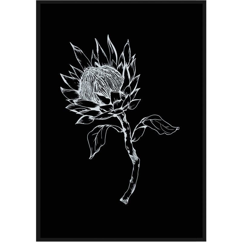 King Protea on black tea towel