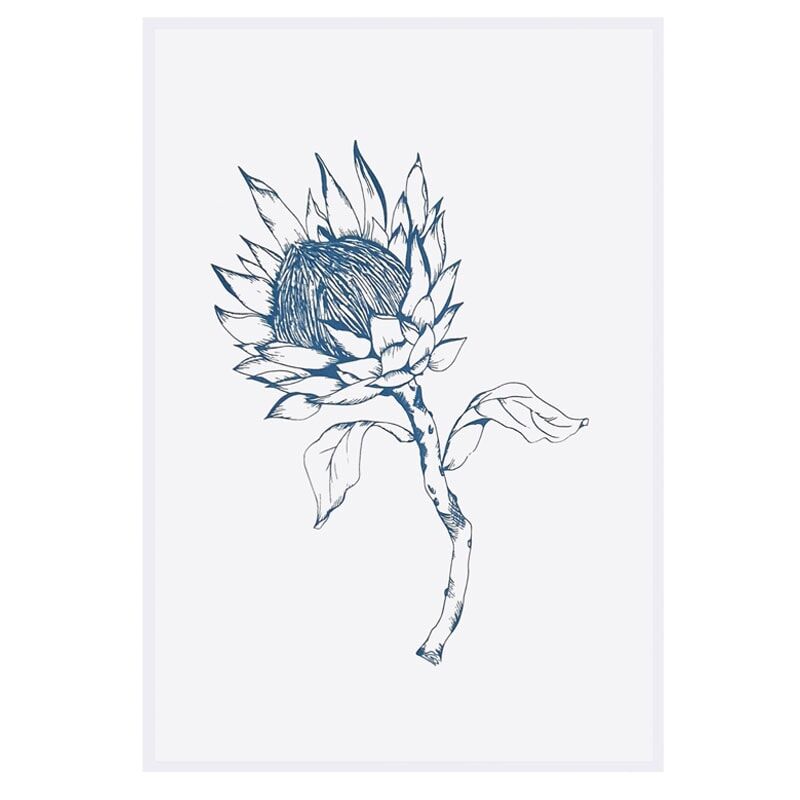 Blue King Protea on white tea towel